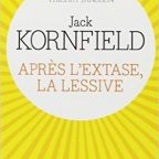 Après l’EXTASE, la LESSIVE. Jack Kornfield, Pocket, 2001